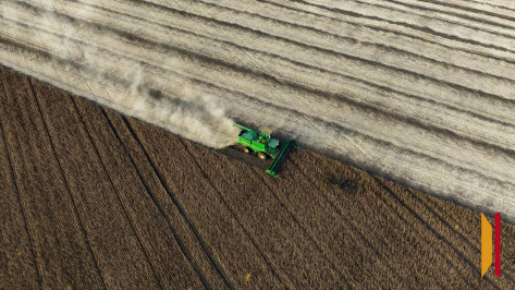 В Воронежской области планируют собрать около 5,8 млн тонн зерна