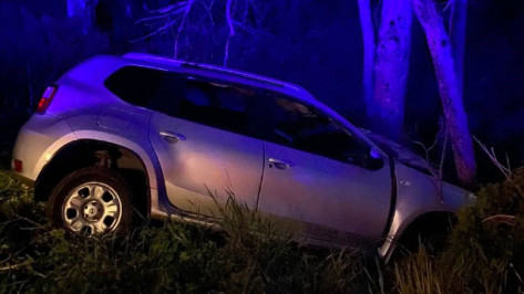 В Воронежской области водитель Nissan погиб при столкновении с деревом