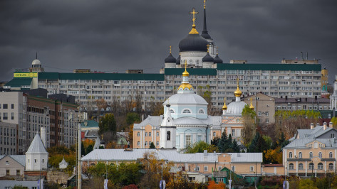 Итоги недели. Что важного случилось в Воронежской области с 23 по 29 октября