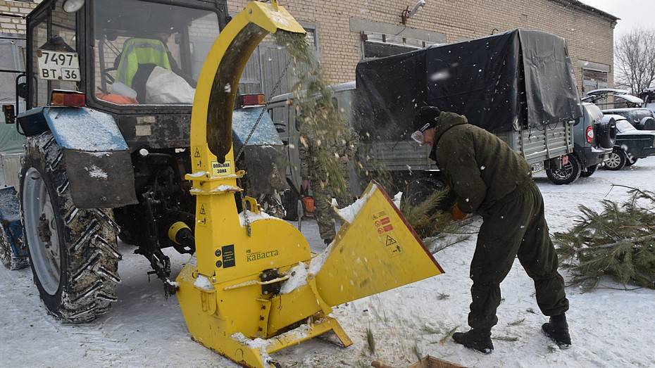 Кантемировцев призвали сдать новогодние деревья на переработку