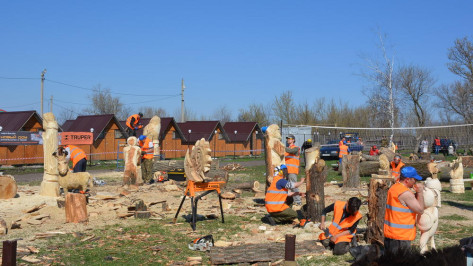 В Каширском районе на фестивале «Битва бензопил» мастера сделали 28 деревянных скульптур