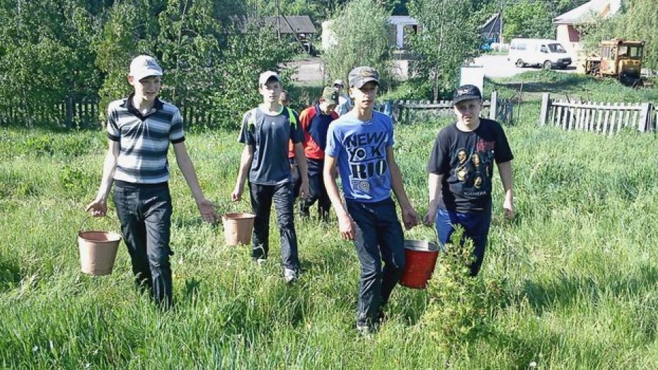 Бутурлиновские лесоводы победили в экологическом конкурсе Гринписа России