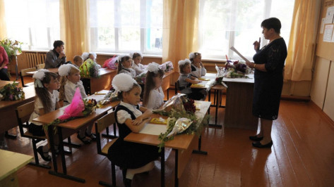Воронежская Общественная палата упростит подготовку школ к учебному году
