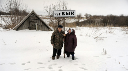 Заброшенные хутора: как пустеют воронежские деревни. Бык