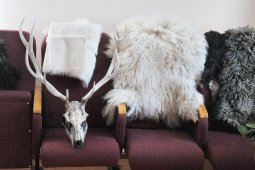 Воронежские «Костенки» откроют туристический сезон 24 апреля