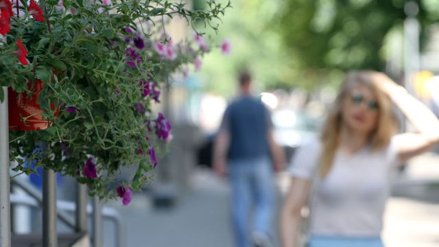 Рабочая неделя в Воронежской области начнется с 35-градусной жары