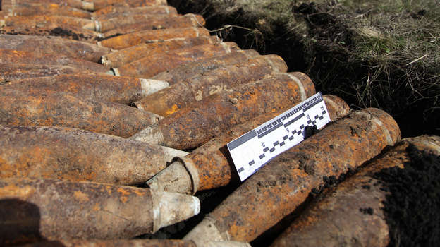 Около поселка под Острогожском местные жители нашли 32 снаряда времен ВОВ