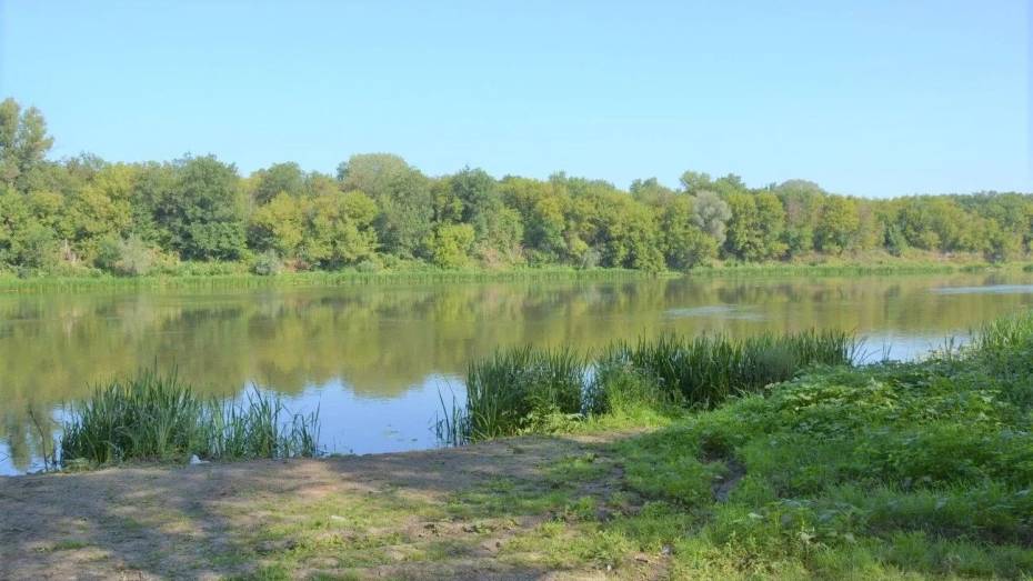 В Воронежской области отметят границы водоохранных зон и прибрежных защитных полос рек