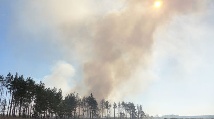 Высокий уровень пожарной опасности отметили в большинстве районов Воронежской области
