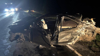 В Воронежской области подросток и 3-летний малыш пострадали в страшном ДТП