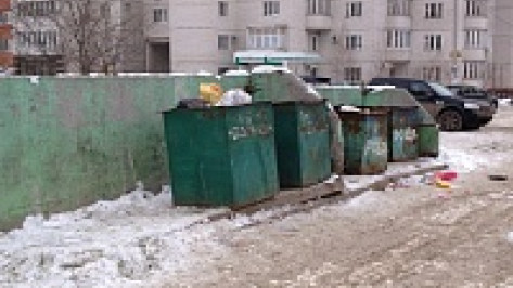 Власти Воронежа хотят, чтобы мусорные контейнеры в городе были закрытыми