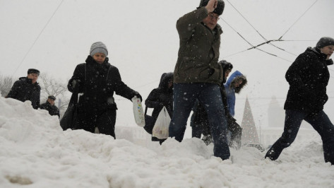 Воронежцы о снегопаде: «Никто не ожидал такого после бесснежного декабря»