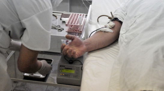 В Воронеже поддержат доноров костного мозга