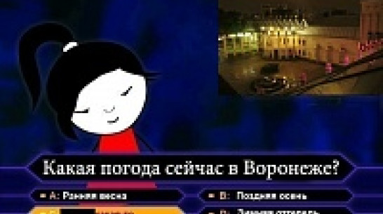 Воронежцы дождутся снега к Старому Новому году 