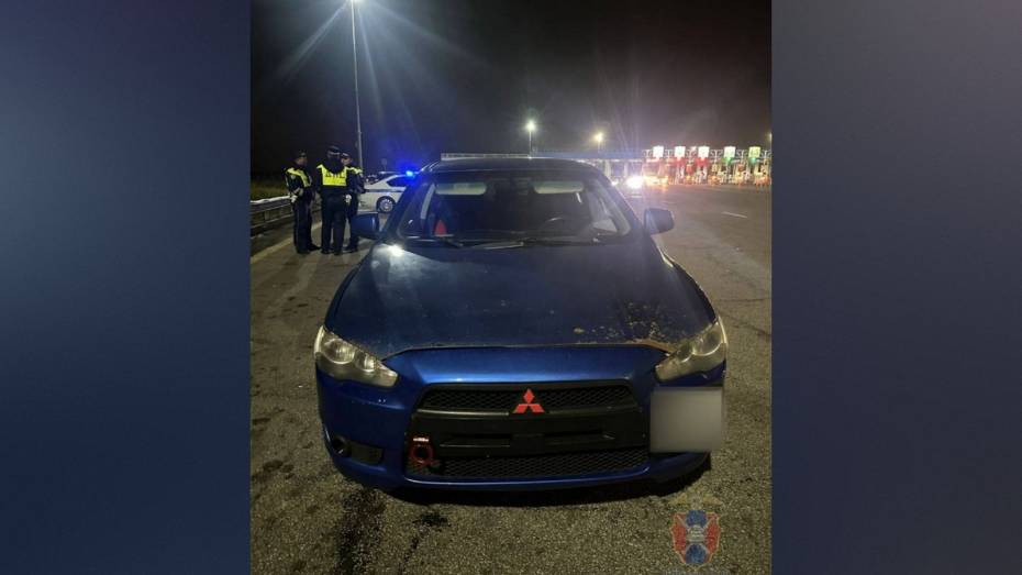 Воронежского автолюбителя задержали за неуплату штрафов на 93 тыс рублей