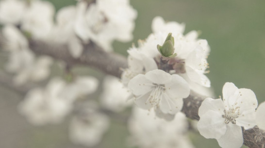 Гид РИА «Воронеж»: выходные 1-4 мая