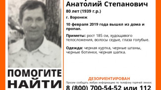 Пропавшего в Воронеже пенсионера с провалами в памяти нашли прохожие
