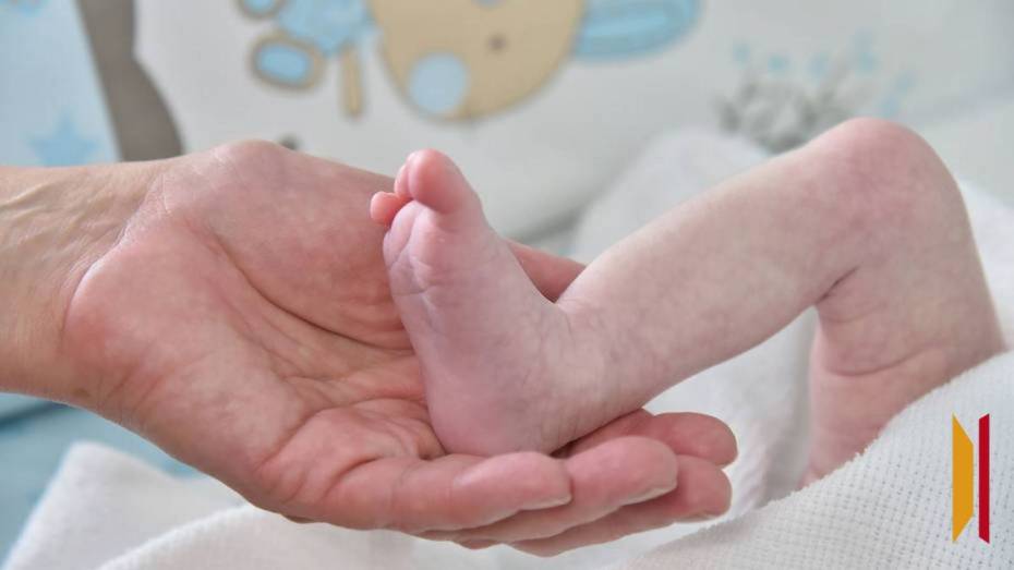 В Борисоглебске продлили акцию по вручению сертификатов родителям новорожденных