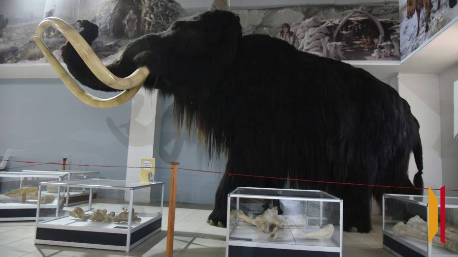 Воронежский музей-заповедник «Костенки» продлил туристический сезон