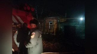 В Воронежской области на пожаре погиб 87-летний мужчина
