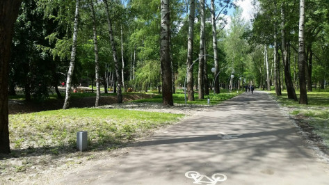 Активисты позвали воронежцев на проектирование велодорожек в парке «Динамо»