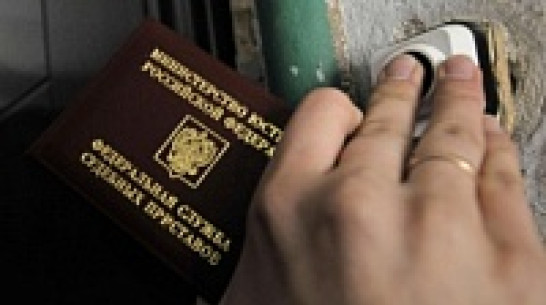 Нижнедевицкие приставы арестовали у неплательщика бензопилу, музыкальный центр и телевизор