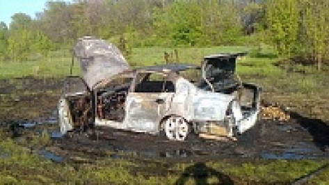 В Каменском районе иномарка сгорела из-за загоревшегося сухостоя