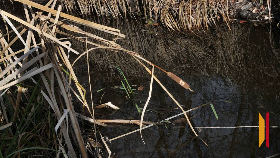 В Воронежской области утонул 63-летний мужчина