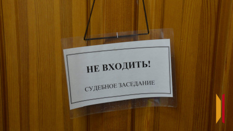 Экс-гендиректор воронежской фирмы предстанет перед судом за мошенничество