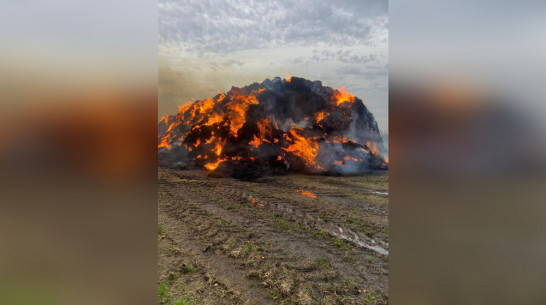 Под Воронежем злоумышленник спалил солому на 1,2 млн рублей