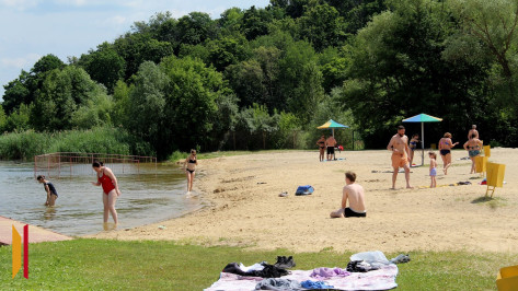 В Воронежскую область придет 40-градусная жара