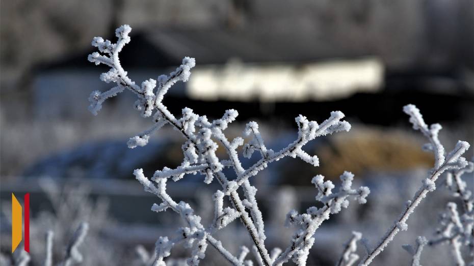 В Воронежской области резко похолодает до -16 градусов 24 декабря