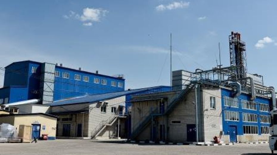 Экологи: завод «Воронежские дрожжи» отравлял воздух