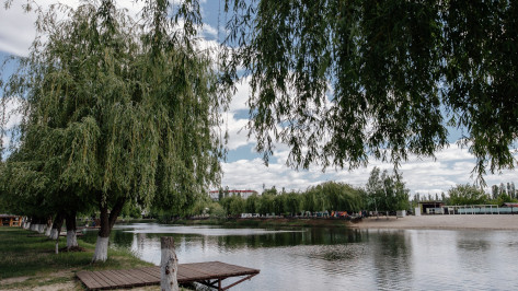 Воронежцы сообщили об утонувшей девочке на базе отдыха в Тенистом