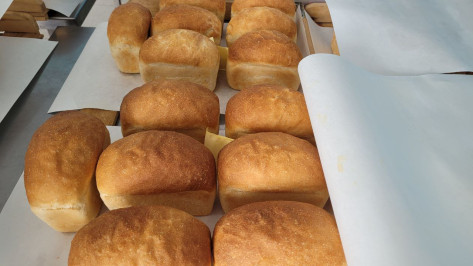 Томатная сыворотка от воронежских ученых: новое применение побочных продуктов переработки в хлебопекарной промышленности