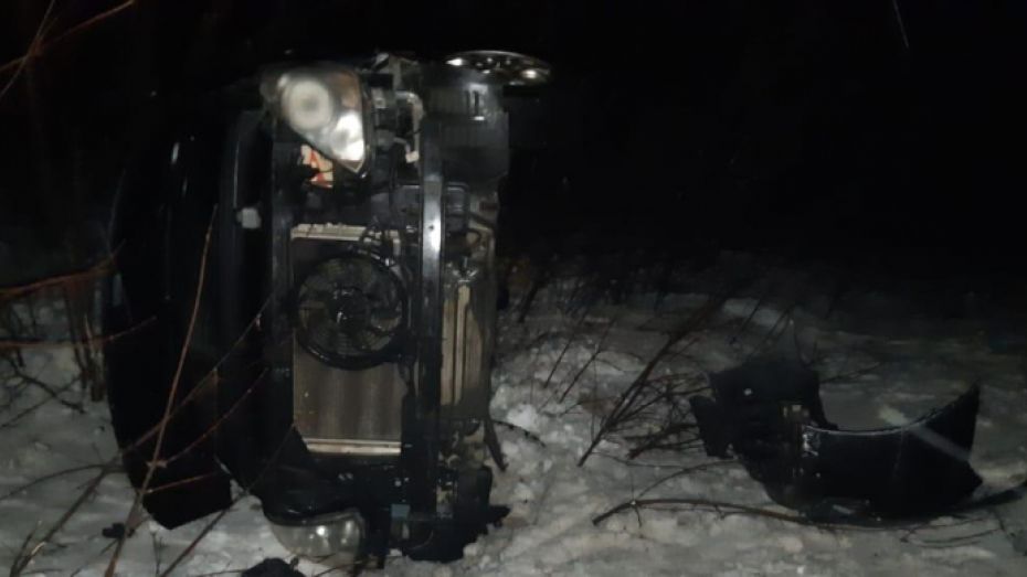 В Воронежской области перевернулся микроавтобус: пострадали 3 пассажира