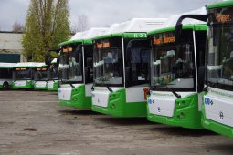 Новый автобусный маршрут решили создать в Воронеже