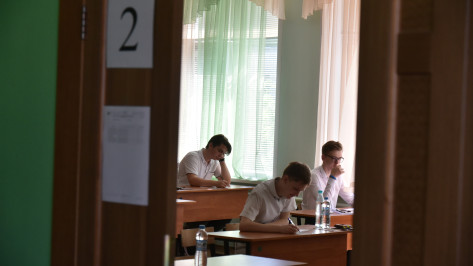 Воронежским школьникам назвали даты проведения Всероссийских проверочных работ в 2023 году