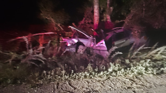 Компания подростков на Audi разбилась на трассе под Воронежем