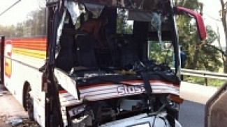 В Воронежской области 3 человека пострадали в ДТП с автобусом Геленджик-Москва 