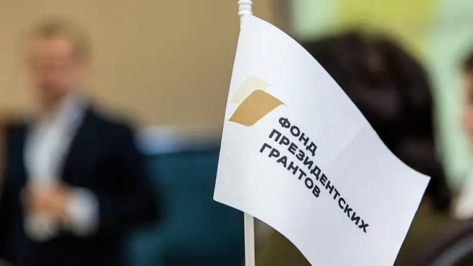 Воронежские НКО получат почти 45 млн рублей на реализацию соцпроектов