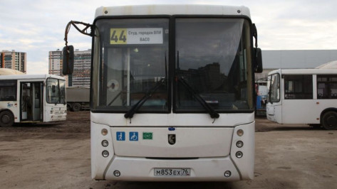 В Воронеже на маршруте №44 увеличат количество автобусов с 5 сентября