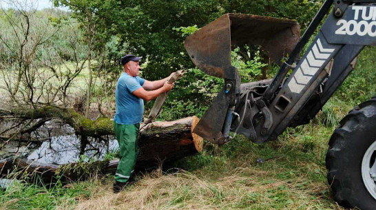 Острогожские коммунальщики устранили затор на реке Тихая Сосна