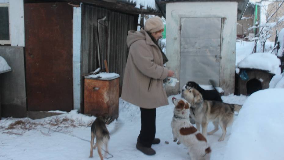 В Каширском районе пенсионерка приютила 4 бездомных собак