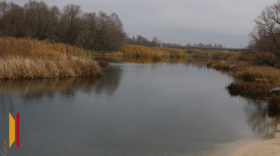 В Боброве выпустили 70 тыс мальков толстолобика в реку Битюг