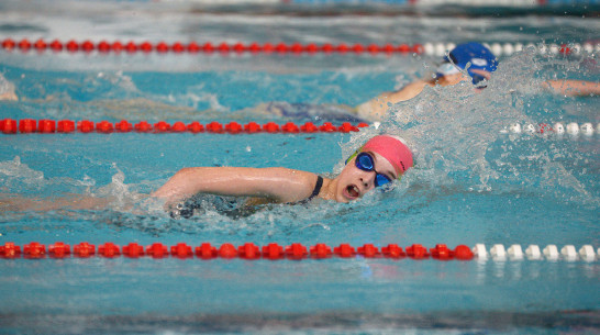 Воронежская пловчиха взяла «золото» чемпионата Европы на короткой воде