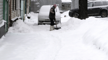 Снегопад завалил Воронеж половиной месячной нормы осадков