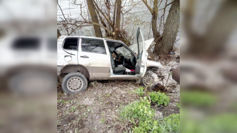 В Воронежской области в ДТП с пьяным водителем пострадала 3-летняя девочка