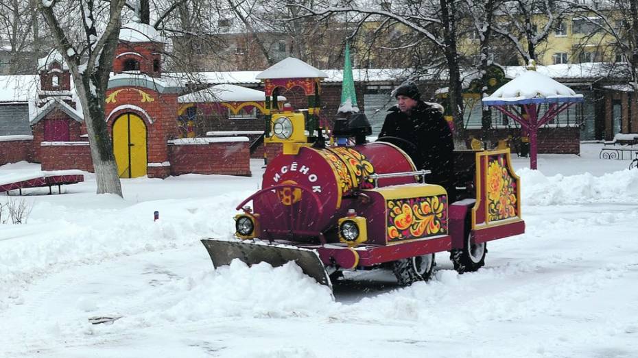 В Лискинском городском парке аттракцион переоборудовали для уборки снега