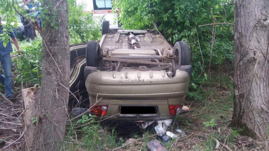 Пенсионерка погибла в ДТП с грузовиком в Воронежской области